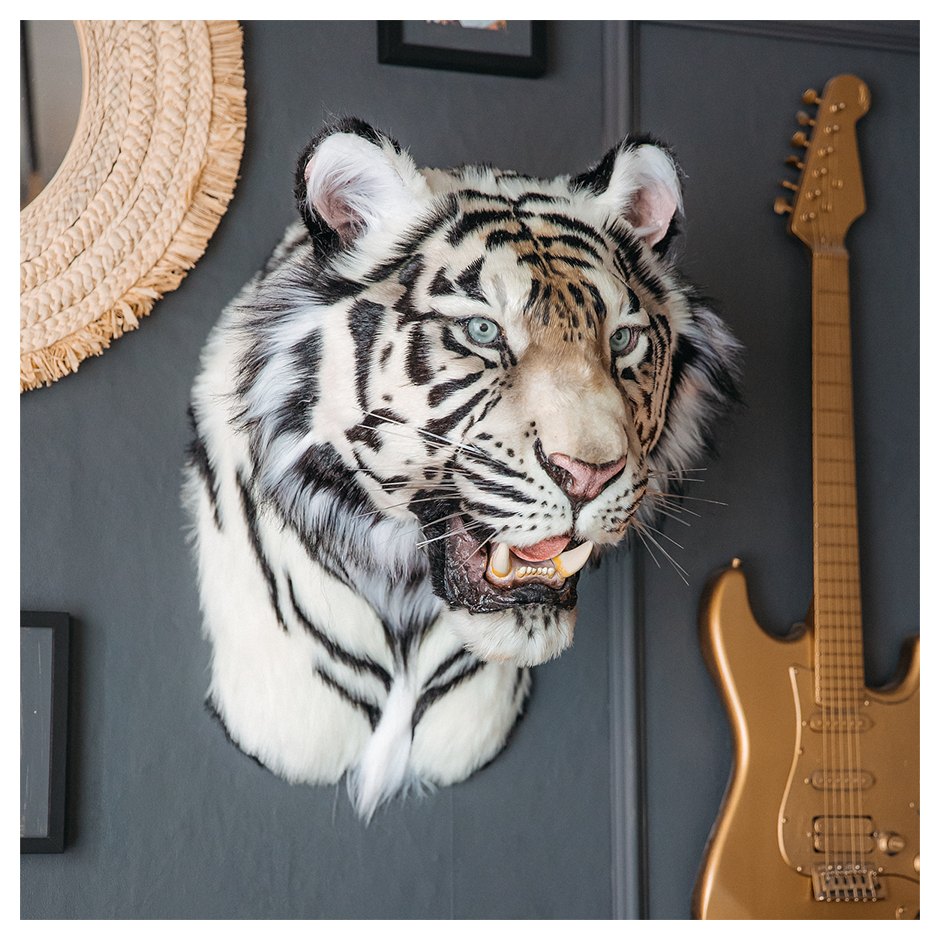 Replica Taxidermy White Tiger Head Wall mount Realistic Life size
