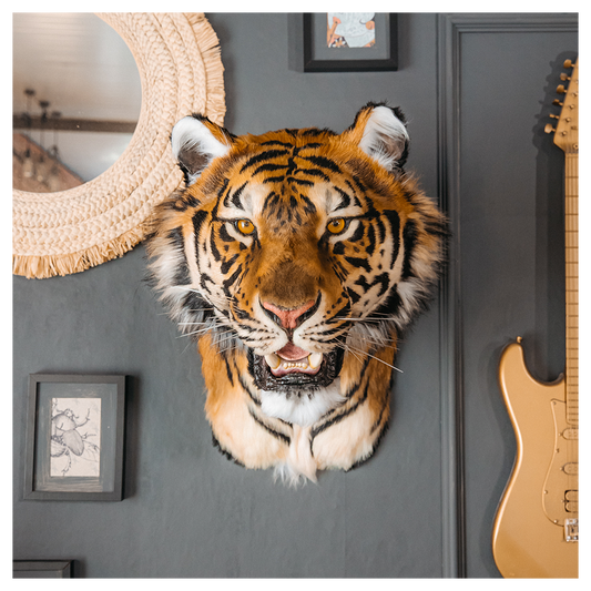 Replica Taxidermy Tiger Head Wall mount Realistic Life size