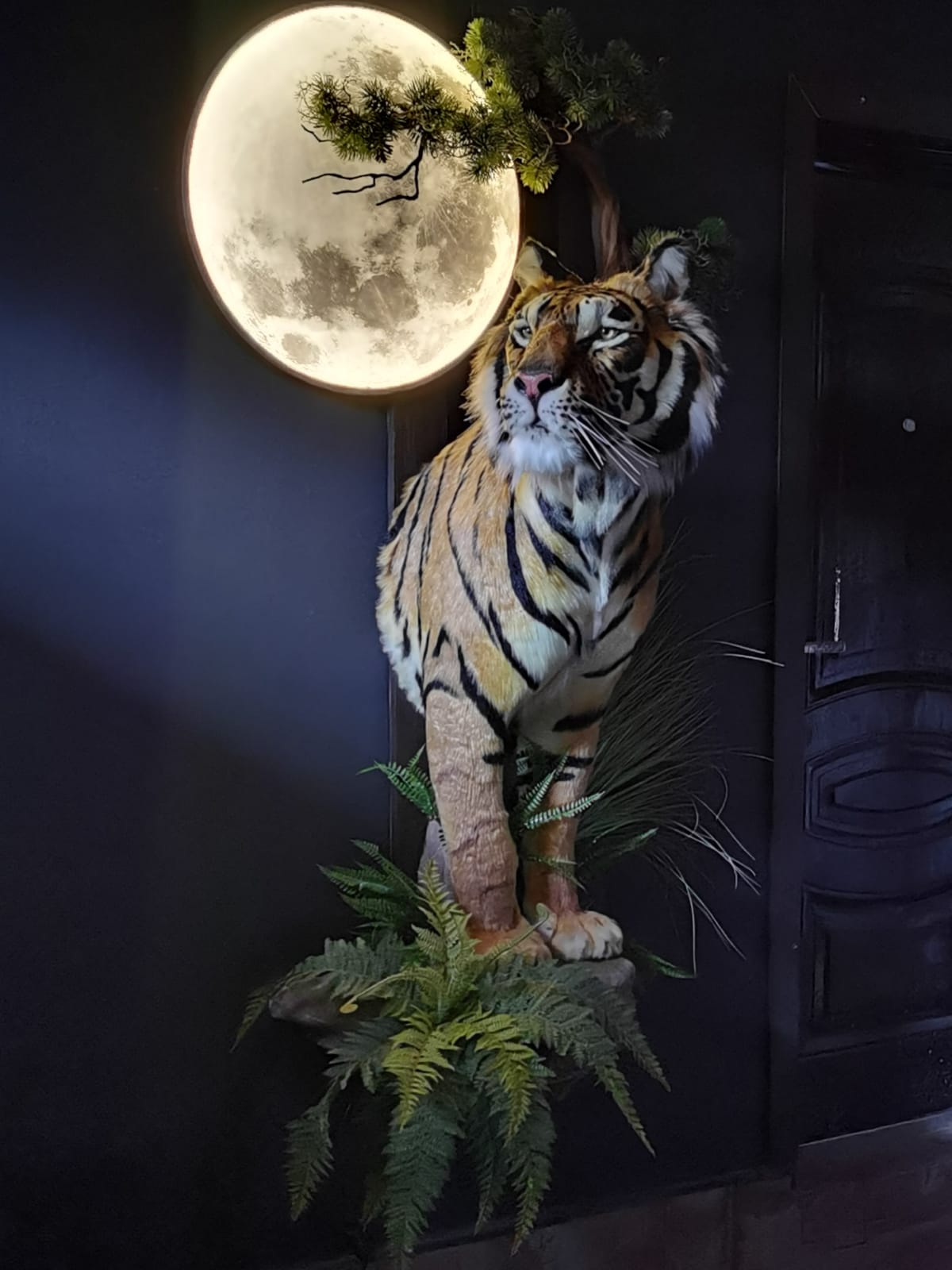 Tigre en taxidermie de réplique, monté, grandeur nature, peluche africaine