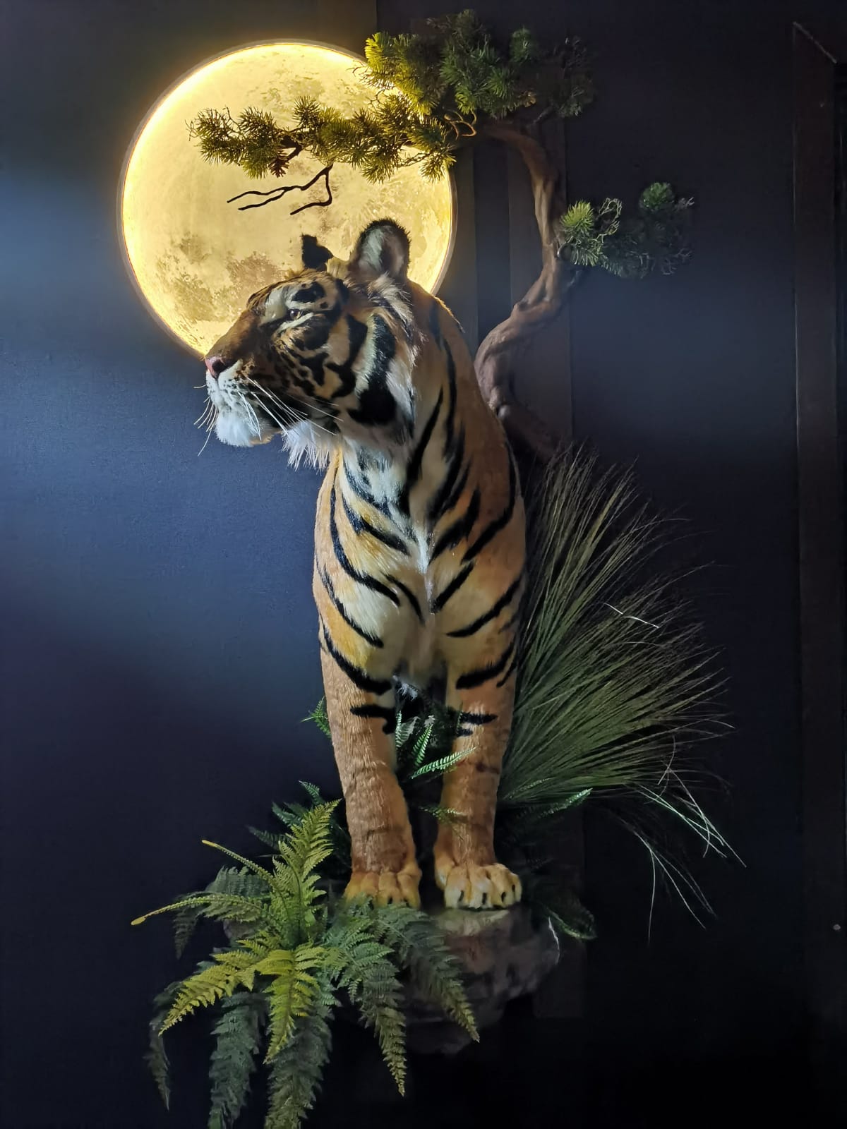 Tigre en taxidermie de réplique, monté, grandeur nature, peluche africaine