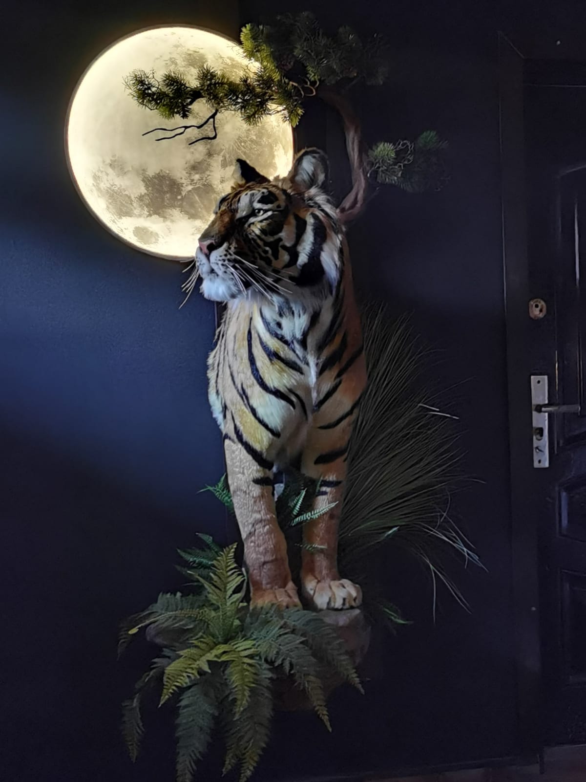 Tigre en taxidermie de réplique, monté, grandeur nature, peluche africaine