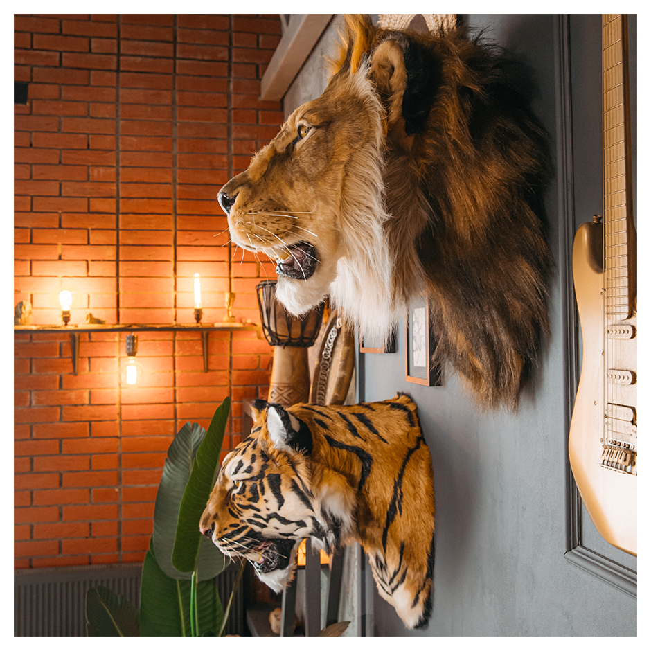 Replica Taxidermy Lion Shoulder Head Wall mount Life size
