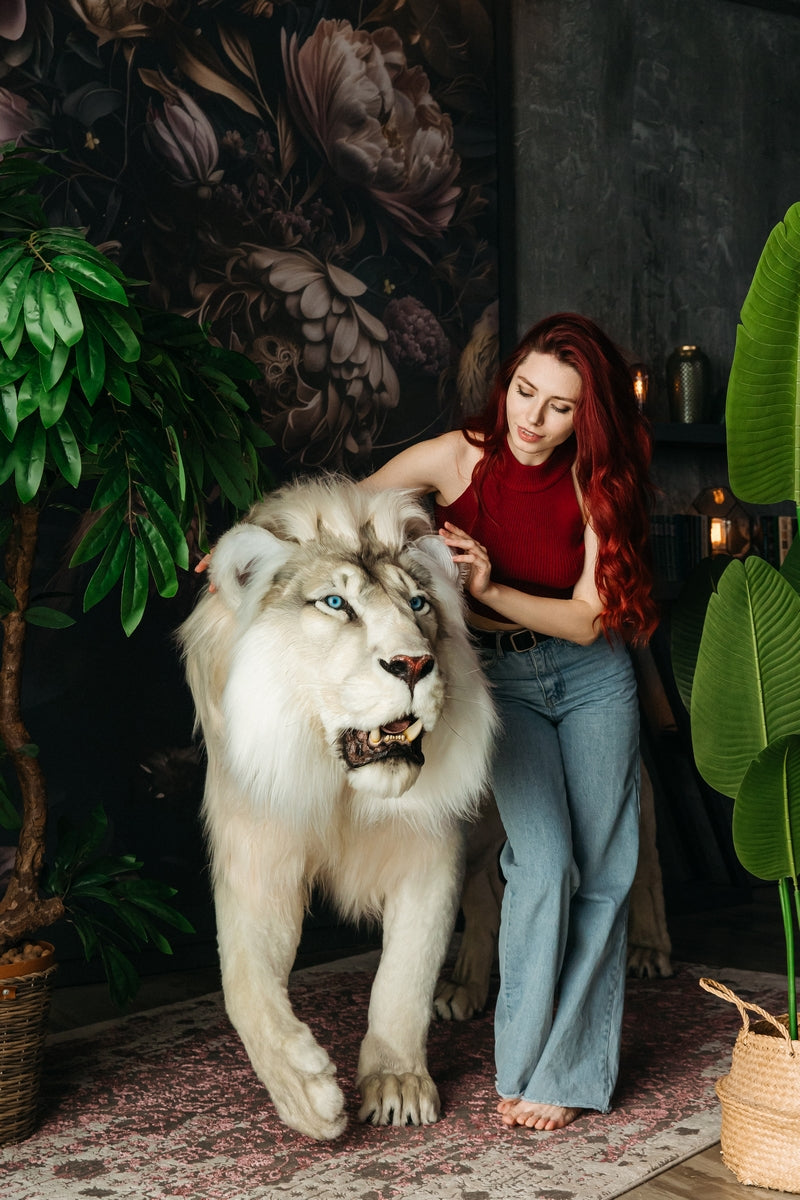 Replica Taxidermy White Lion Life size Standing mount