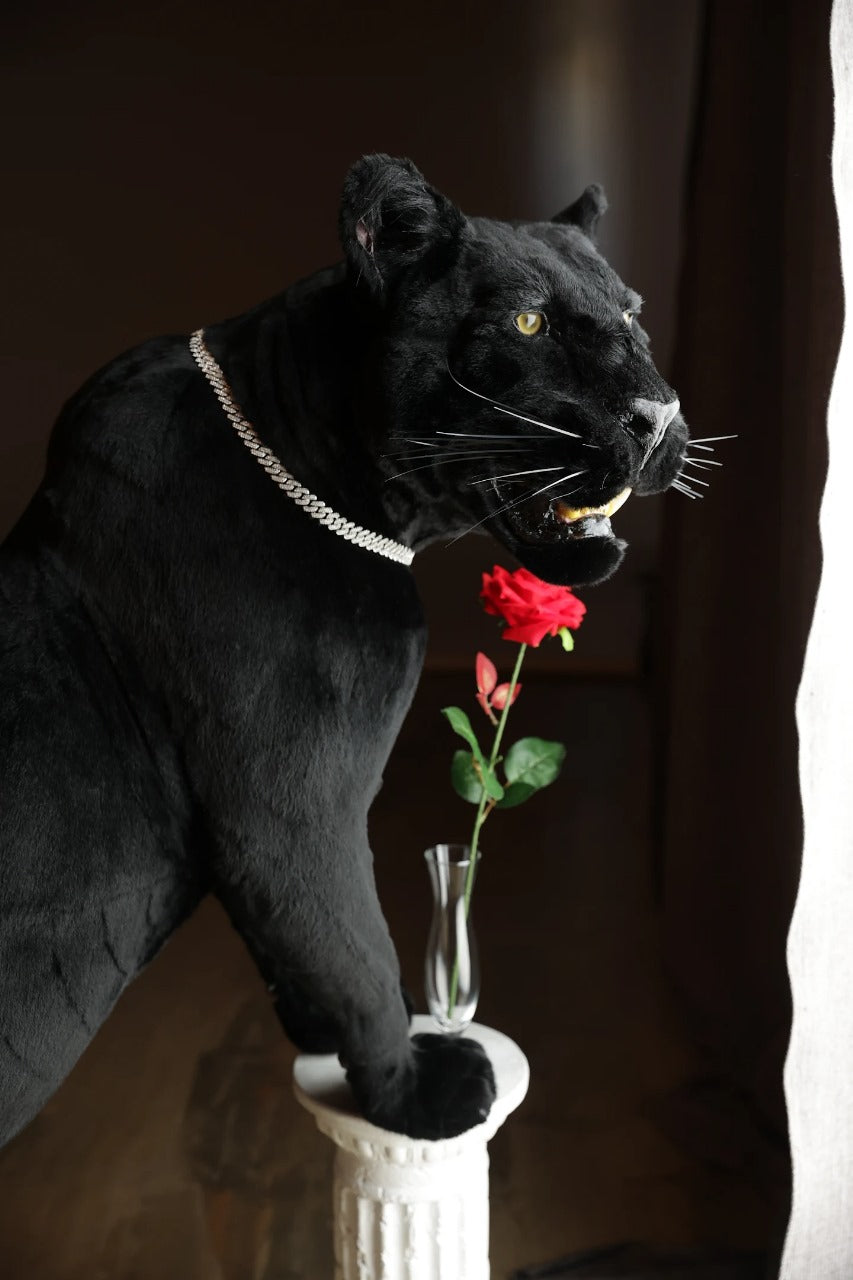 Replica Taxidermy Black Panther Standing mount Full body Stuffed African decor
