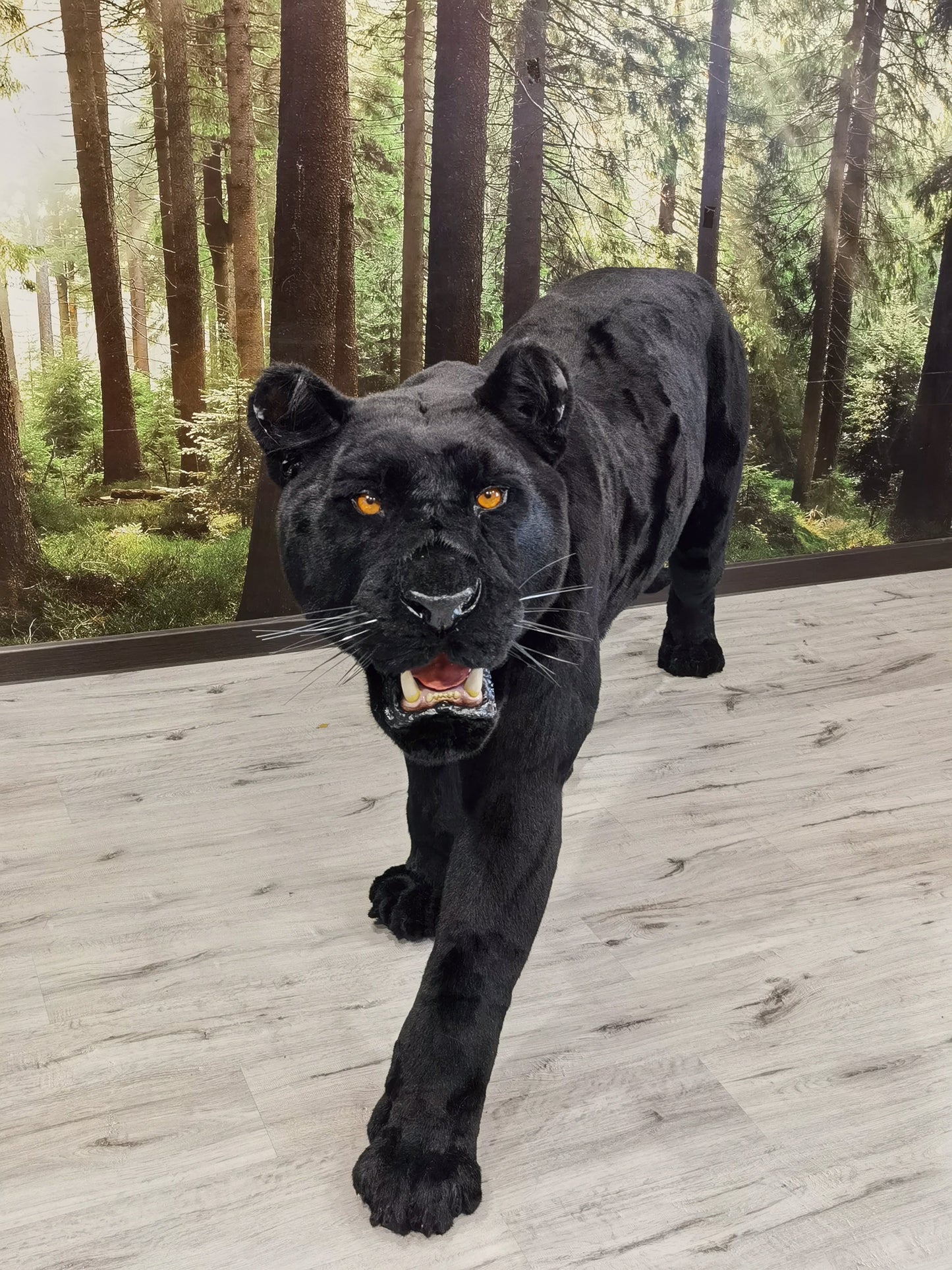 Replica Taxidermy Black Panther Standing mount Full body Stuffed African