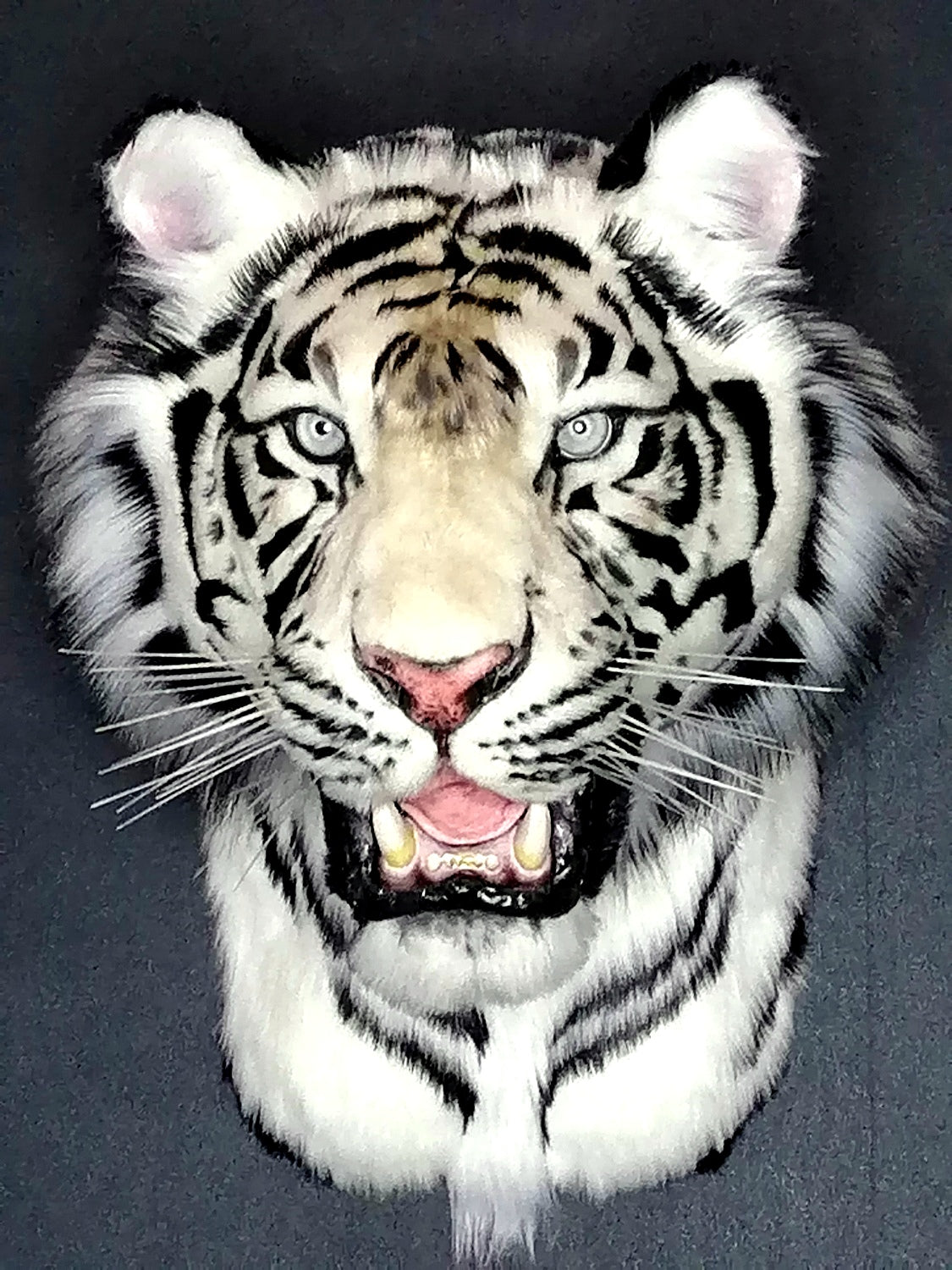 Replica Taxidermy White Tiger Head Wall mount Realistic Life size