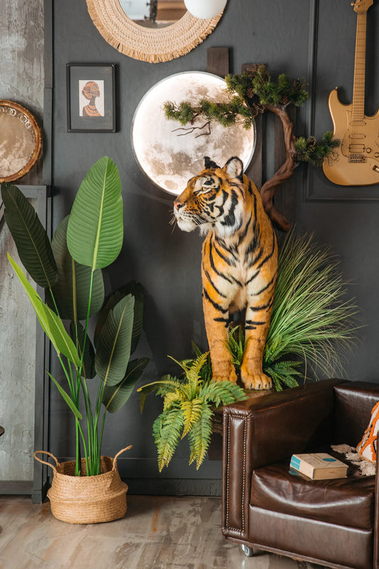 Replica Taxidermy Tiger Wall mount