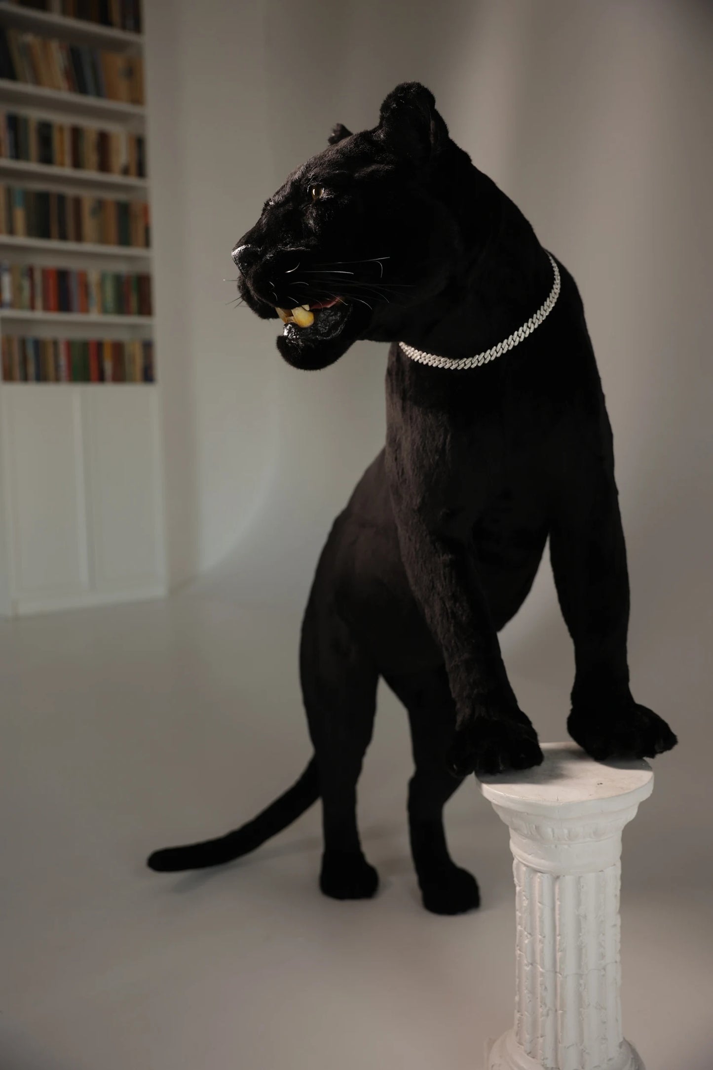 Replica Taxidermy Black Panther Standing mount Full body Stuffed African decor