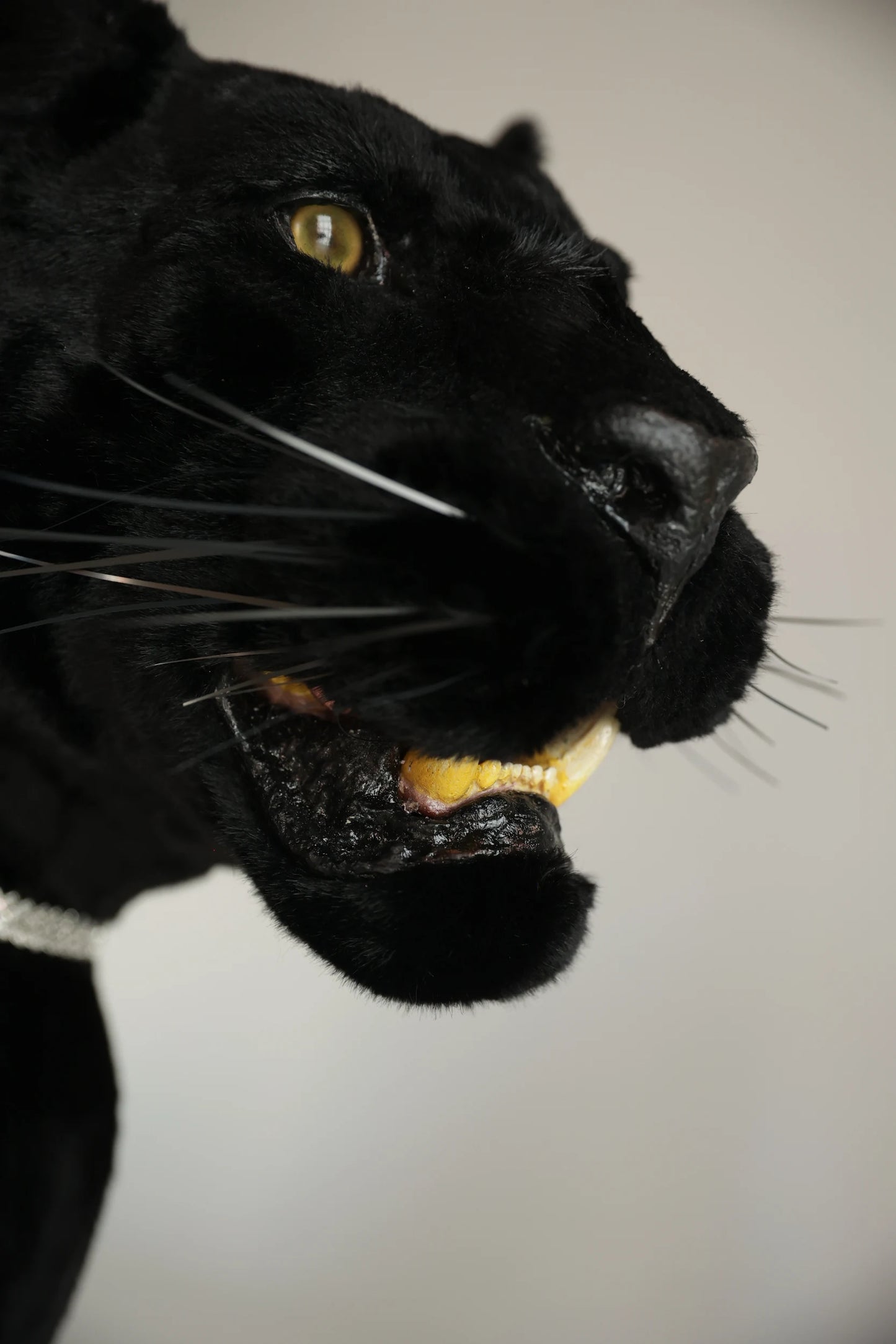 Replica Taxidermy Black Panther Standing mount Full body Stuffed African decor